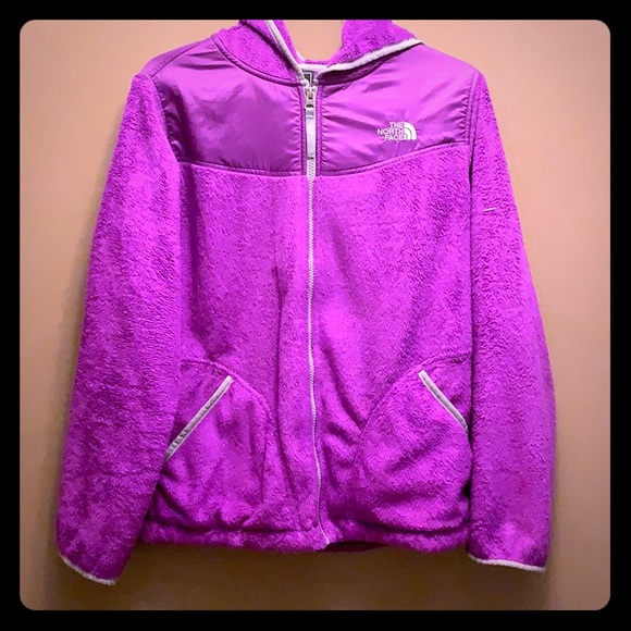 The North Face Other - The North Face jacket